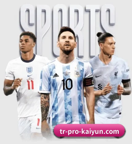 五大服务分区,信息按项目分类 | Kaiyun Sports